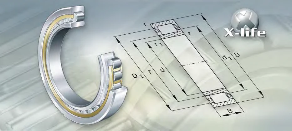 NU2260-EX-TB-M1 bearing drawing NU2260-EX-TB-M1 bearing drawing